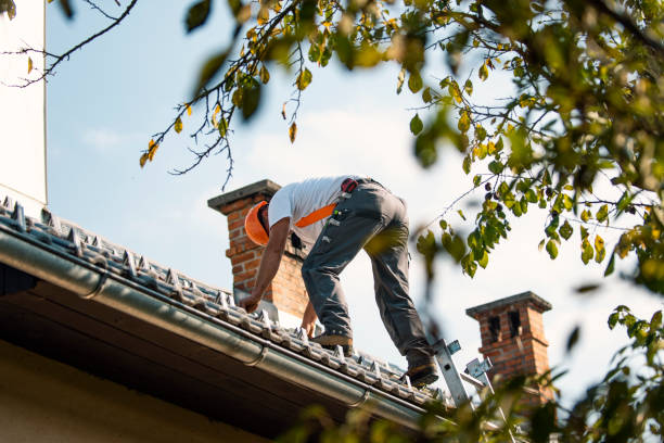 Best Roof Repair Services  in Rockville, MN