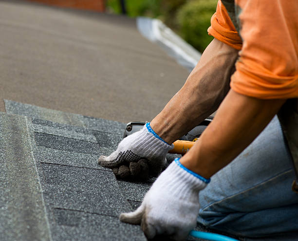 Best Roof Restoration Services  in Rockville, MN