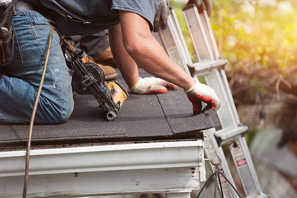 Best Metal Roofing Contractor  in Rockville, MN
