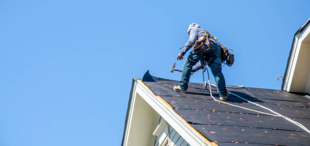 Best Shingle Roofing Installation  in Rockville, MN